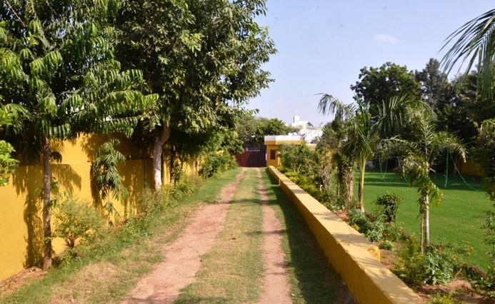 Hotel Tiger Regency Resort Sawai Madhopur Zewnętrze zdjęcie